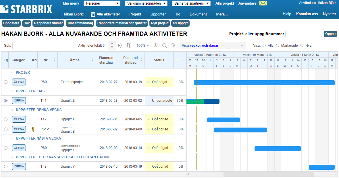 Projektverktyget innehåller en personmeny med Gantt-diagram.